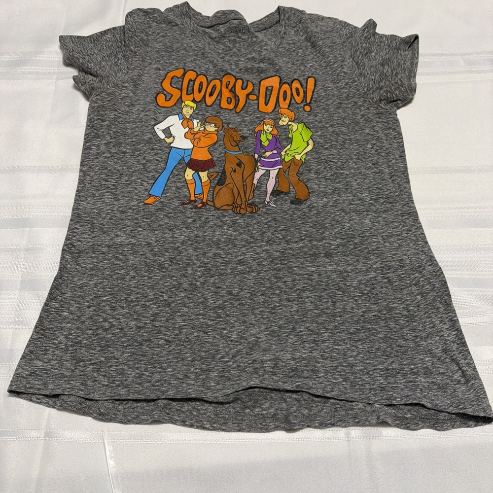 Scooby-Doo Mystery Inc Gang Graphic T-Shirt Gray Space Dye Short Sleeve Medium